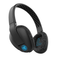 Preview: JLab Audio FLEX