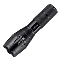 Preview: Torch G700
