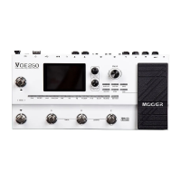 Preview: Mooer GE250