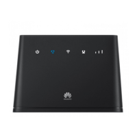 Preview: Huawei B310