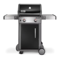 Preview: Weber Spirit Series