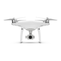 Preview: dji PHANTOM 4 PRO+