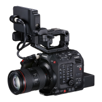 Preview: Canon EOS C500 Mark II
