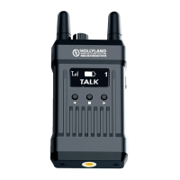 Preview: Hollyland MARS T1000