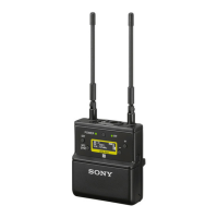 Preview: Sony UWP-D21