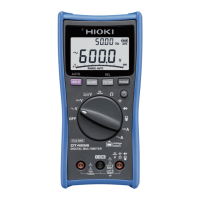 Preview: Hioki DT4252