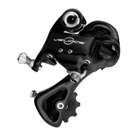 Preview: CAMPAGNOLO Record 10S