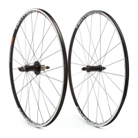 Preview: CAMPAGNOLO Neutron