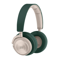 Preview: Bang & Olufsen Beoplay H9i