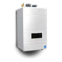 Preview: Laars FT Series