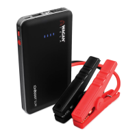 Preview: Wagan iOnBoost SLIM