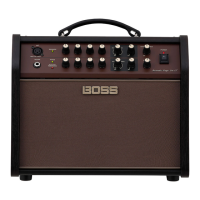 Preview: Boss Acoustic Singer Live LT