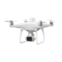Preview: dji P4 MULTISPECTRAL