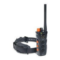 Preview: Dogtra 3500X