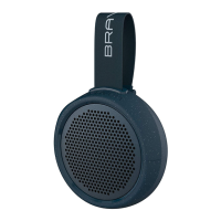 Preview: Braven BRV-105