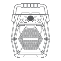 Preview: The Singing Machine SML2200
