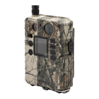 Preview: Boly BG310 Series
