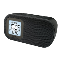 Preview: iHome iBT210