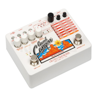 Preview: Electro-Harmonix Grand Canyon