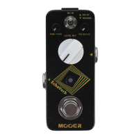 Preview: Mooer EchoVerb Micro