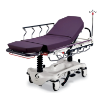 Preview: Stryker Gynnie