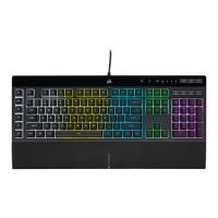 Preview: Corsair K55 RGB