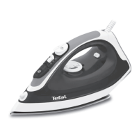 Preview: TEFAL MAESTRO