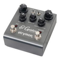 Preview: Strymon El Capistan dTape Echo