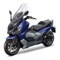 Preview: Sym Maxsym TL TL 500