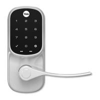 Preview: Assure Lock Lever Touchscreen YRL226