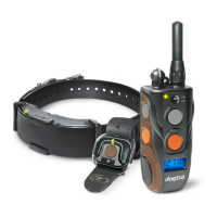 Preview: Dogtra ARC HANDSFREE