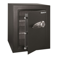 Preview: SentrySafe T8-331