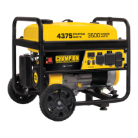 Preview: Champion Global Power Equipment 100522