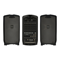 Preview: Fender PASSPORT VENUE Series 2