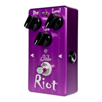 Preview: Suhr RIOT