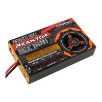 Preview: Turnigy REAKTOR