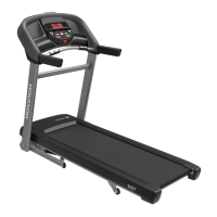 Preview: Johnson Horizon Fitness T202