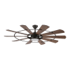 Fan Logo