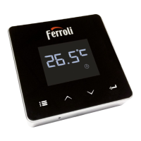 Preview: Ferroli CONNECT