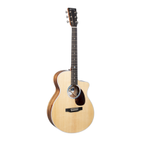 Preview: Martin SC-13E