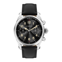 Preview: Mont Blanc Summit