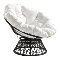 Preview: PAPASAN CHAIR BF25292