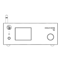 Preview: Gold Note DS-10 PLUS