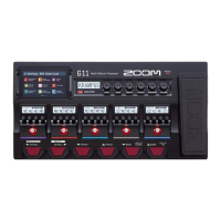 Preview: Zoom G11