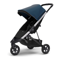 Preview: Thule Spring