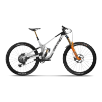 Preview: devinci Spartan Carbon