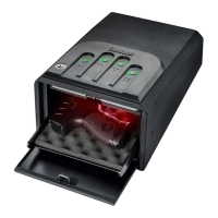 Preview: GunVault MiniVault