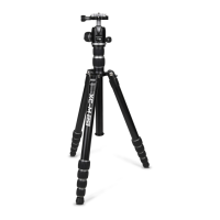 Preview: pro master XC-M