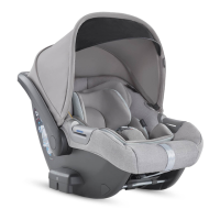 Preview: Inglesina Cab