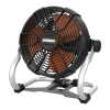 Fan Logo
